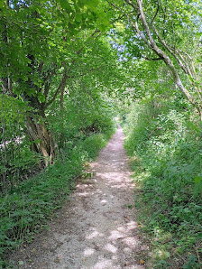 Impression von Schamanin , Mentorin, bewusstseinscoach