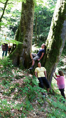 Impression von Naturkraft Schamanismus