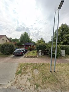 Impression von Schamaninblut Laura Fischer