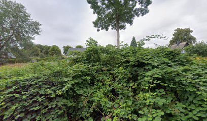 Landschaft in Mecklenburg-Vorpommern