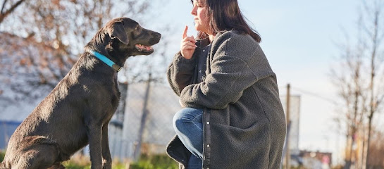 Dany Ernstorfer * Schamanische Begleitung, Tierkommunikation