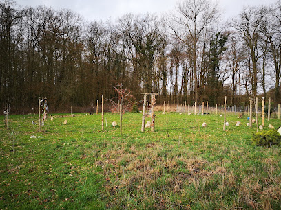 Landschaft in Niedersachsen
