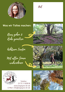 Impression von begegne dir - Jutta Stinzing - Naturcoaching, Naturtherapie, Rituale